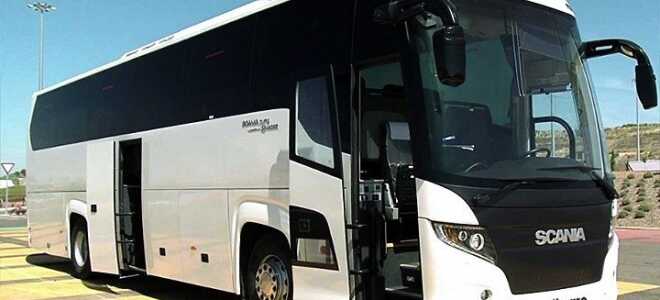 Автобус на свадьбу: VIP обслуживание торжественного дня — Фабрика свадеб