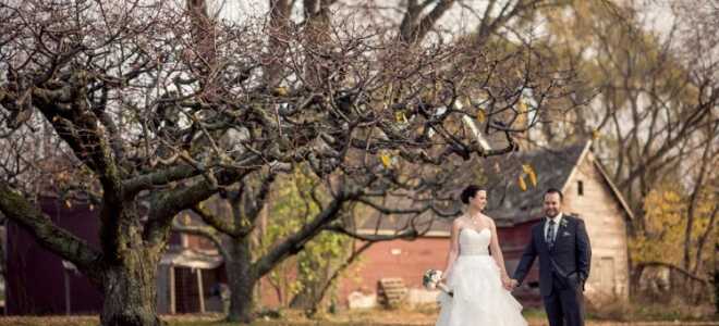 Оригинальные идеи для свадебной фотосессии осенью: места, позы, реквизит