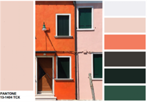 PANTONE-13-1404-Pale-Dogwood-color