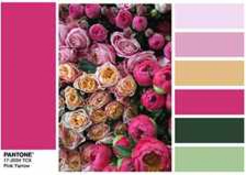 PANTONE-17-2034-Pink-Yarrow-1