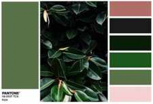 PANTONE-18-0107-Kale