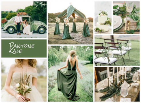 aisle_planner_pantone_kale