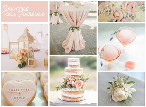 aisle_planner_pantone_pale_dogwood