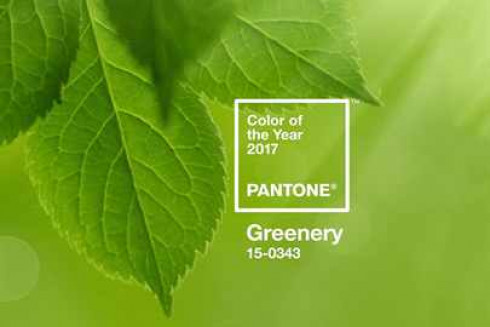 pantone-2017-color-of-the-year-101