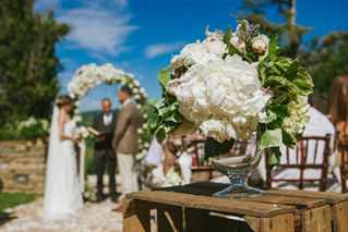 vladislav_i_jana__4_9_weddywood